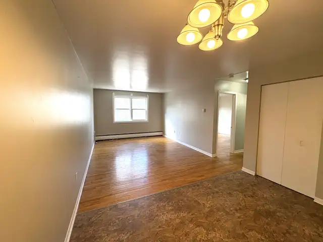 26-020 Spacious 1 bed apartment - Heat HW & Water Inc! - Photo 3