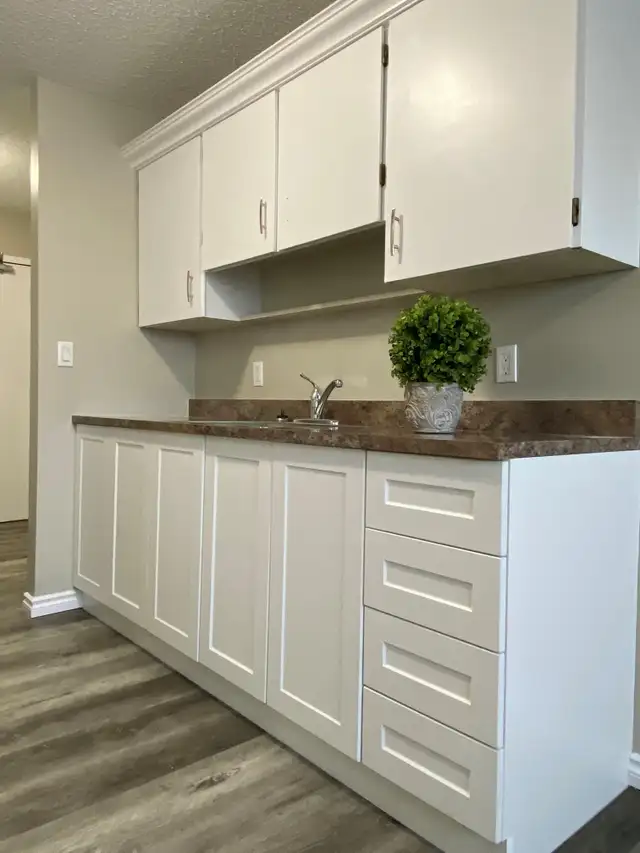 2 Bedroom Apt. in Stettler - Photo 5