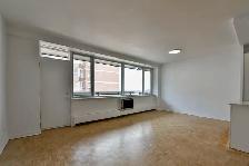 fully renovated 2 bedroom apartment in Outremont - ID 2378 - Photo 3
