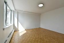 fully renovated 2 bedroom apartment in Outremont - ID 2378 - Photo 9