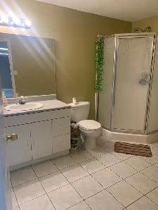 lower unit with separate entrance for rent - Photo 5