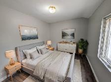 53 Vine St S, St. Catharines - 2 Bed Main Unit - Photo 13