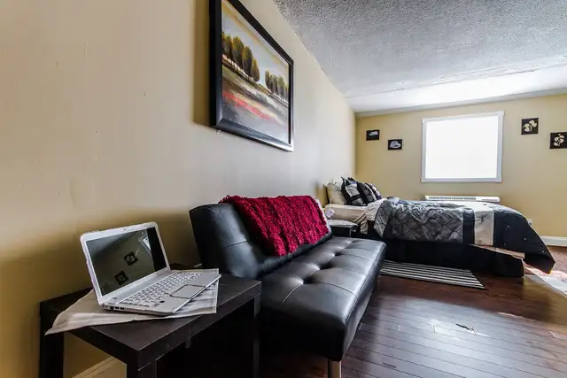 Bachelor apartment for May 1st - Photo 2