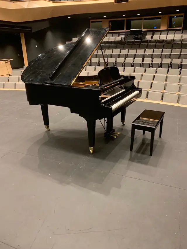 Piano tuning available - Photo 3