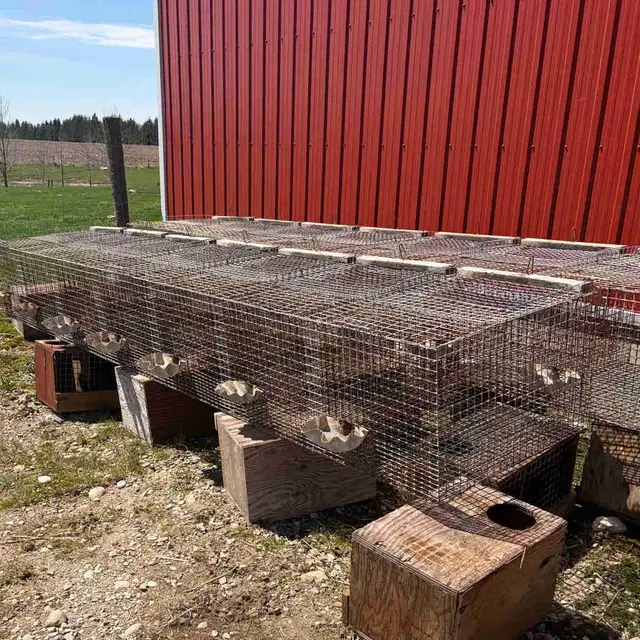 Rabbit Cages for Sale