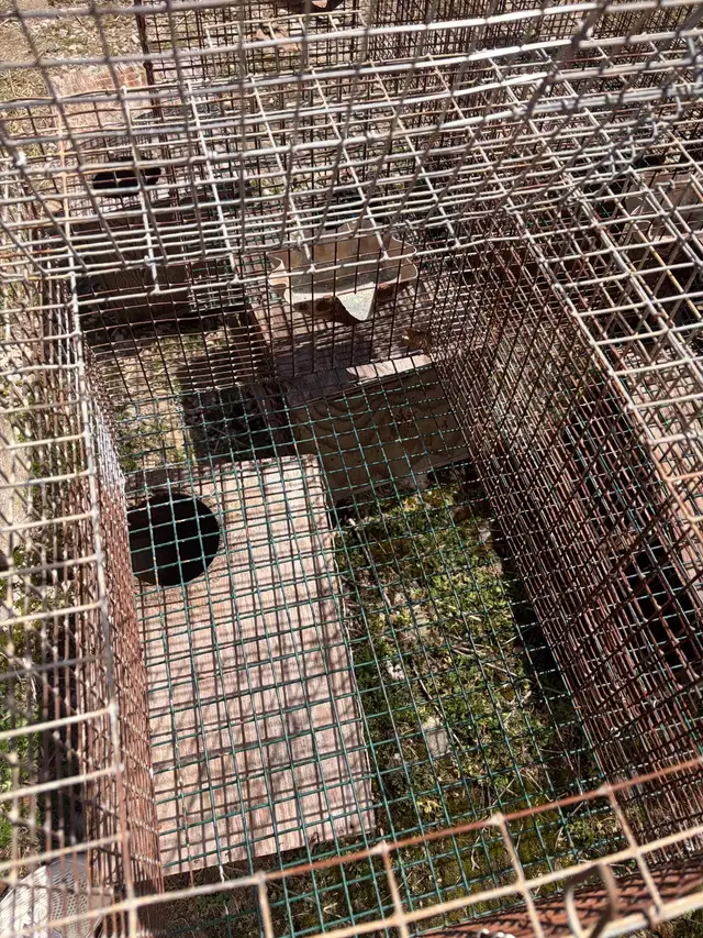 Rabbit Cages for Sale - Photo 2