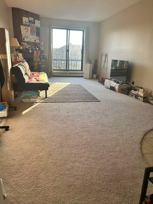 Lakeview area-2 bedroom condo- available June 1 - Photo 2