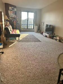 Lakeview area-2 bedroom condo- available June 1 - Photo 2