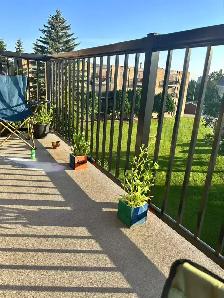 Lakeview area-2 bedroom condo- available June 1 - Photo 9