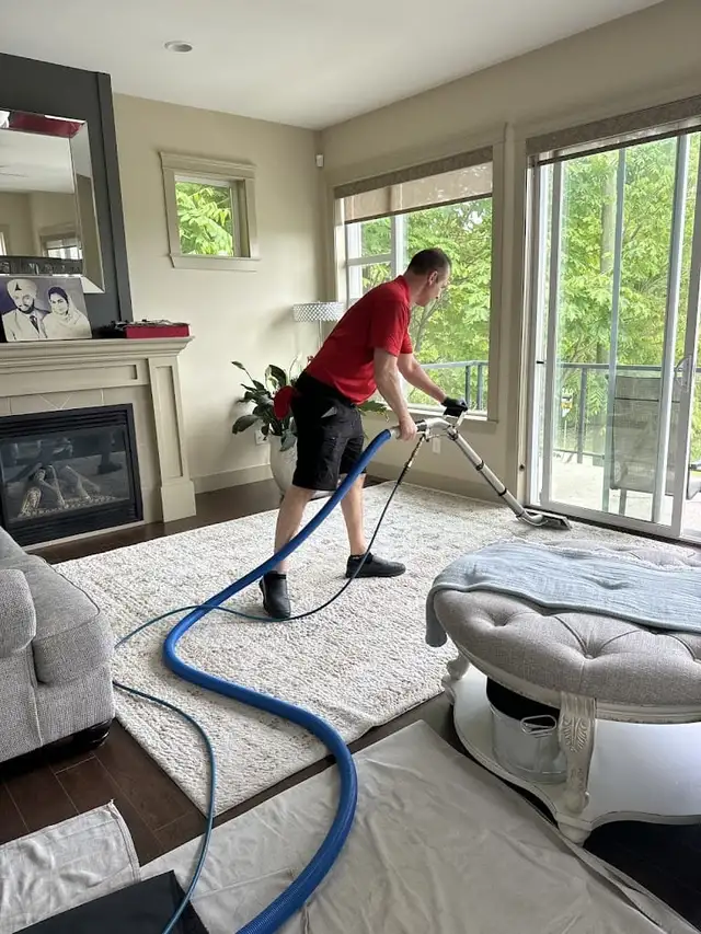 Carpet cleaner, Carpet cleaning, Duct cleaning, steam 6474923273
