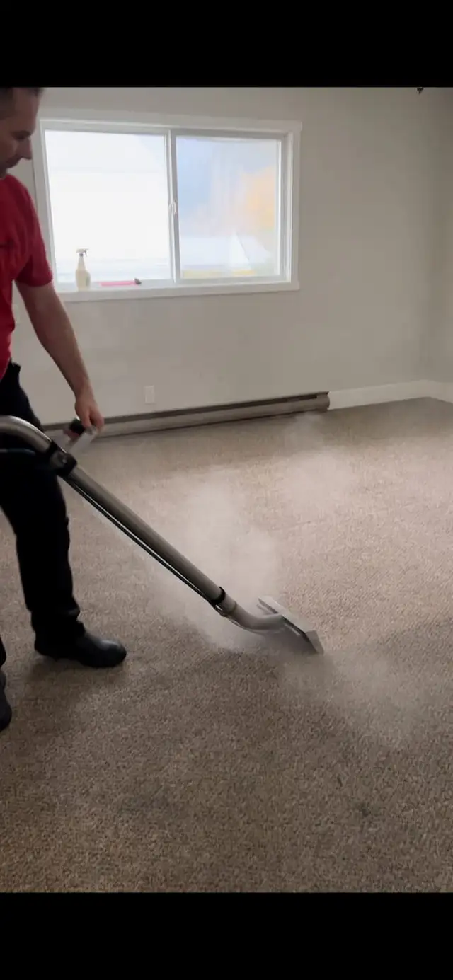 Carpet cleaner, Carpet cleaning, Duct cleaning, steam 6474923273 - Photo 2