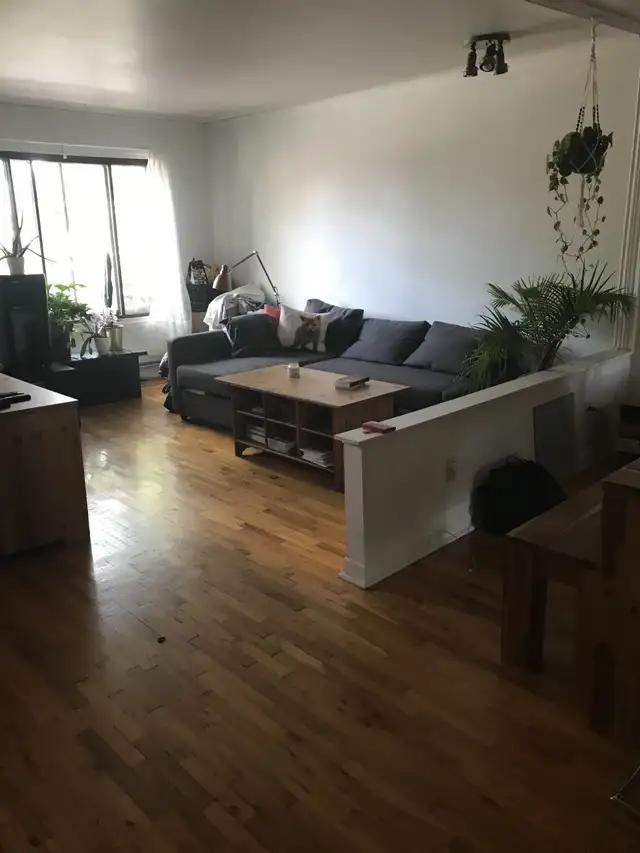 Grand 5 1/2 éclairé dispo 1er juillet