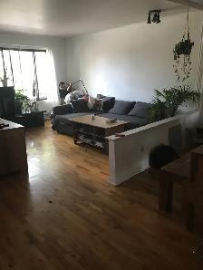 Grand 5 1/2 éclairé dispo 1er juillet