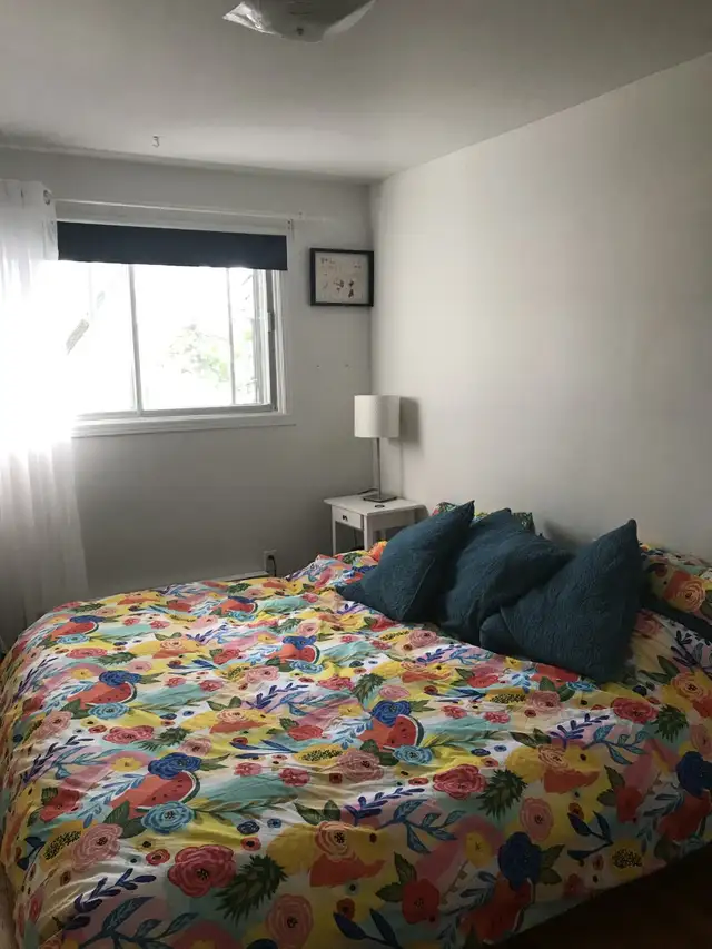 Grand 5 1/2 éclairé dispo 1er juillet - Photo 3