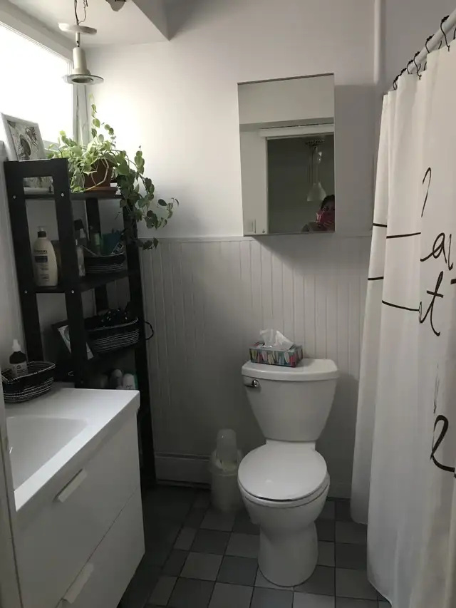 Grand 5 1/2 éclairé dispo 1er juillet - Photo 6