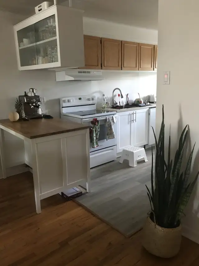 Grand 5 1/2 éclairé dispo 1er juillet - Photo 7