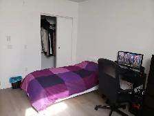 Modern Studio for Rent – Available June 1, 2026 - Photo 2