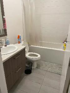 Modern Studio for Rent – Available June 1, 2026 - Photo 5