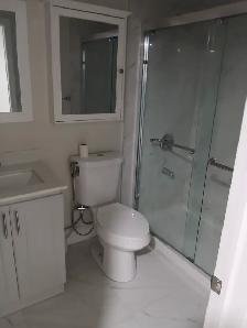 SPACIOUS 2 BDRM & 2 WRM BASEMENT APARTMENT FOR RENT IN BRAMPTON - Photo 12