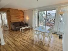 Condo 3 1/2 meublé et tout inclus – Montcalm / St-Jean-Baptiste - Photo 2