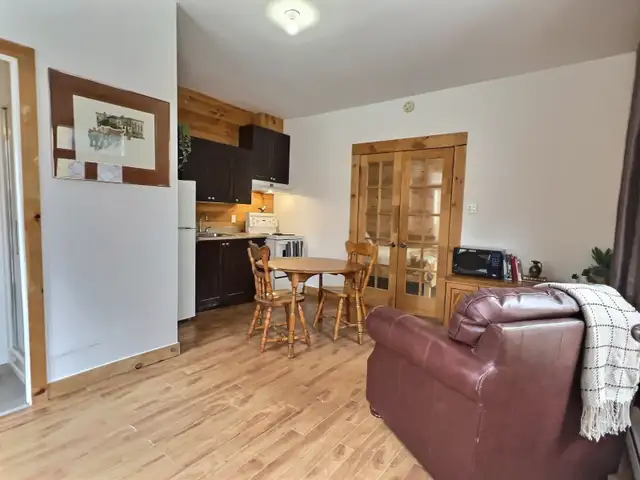 3 1/2 meublé – 1 chambre – Tout inclus – Saint-Roch - Photo 2