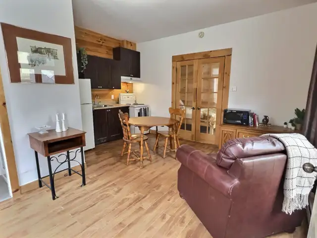 3 1/2 meublé – 1 chambre – Tout inclus – Saint-Roch - Photo 4