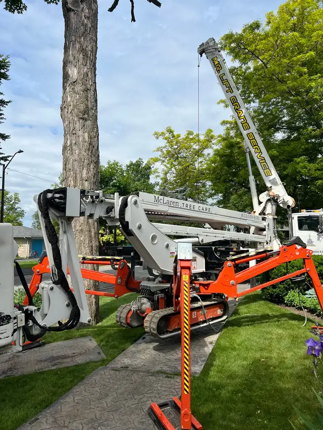 Arborist Climber - Photo 3