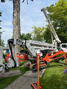 Arborist Climber - Photo 3