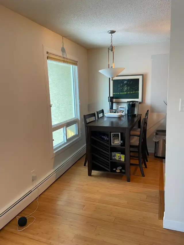 Nutana area-2 bedroom condo- available May or June 1, 2026 - Photo 5