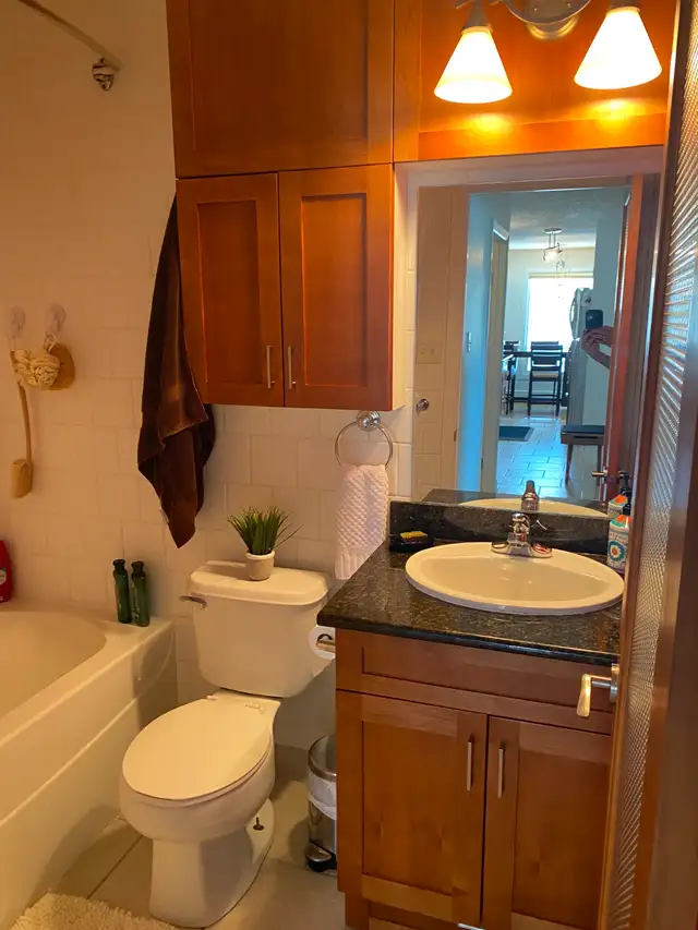 Nutana area-2 bedroom condo- available May or June 1, 2026 - Photo 16