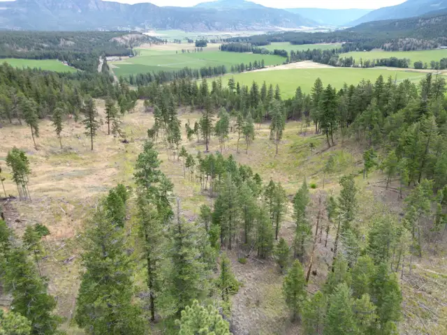 #26CC-78± Combined Acres Selling w/ Reserves-2 Separate Parcels - Photo 7