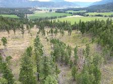 #26CC-78± Combined Acres Selling w/ Reserves-2 Separate Parcels - Photo 7