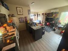 995$/mois et 1049$/mois - A Greenfield Park - Rive Sud