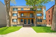 4 ½ entièrement rénové à louer boulevard Édouard-Montpetit