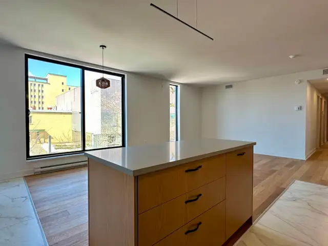 4 ½ entièrement rénové à louer boulevard Édouard-Montpetit - Photo 5