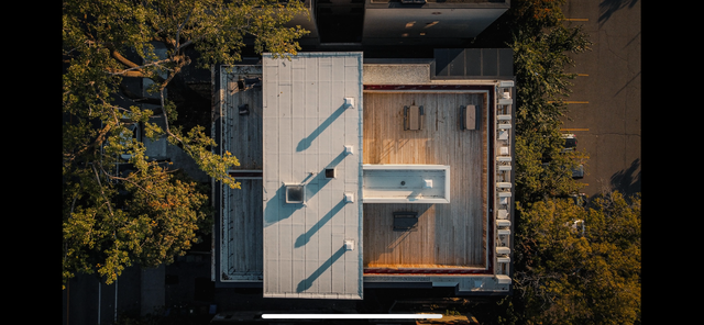 4 ½ entièrement rénové à louer boulevard Édouard-Montpetit - Photo 22