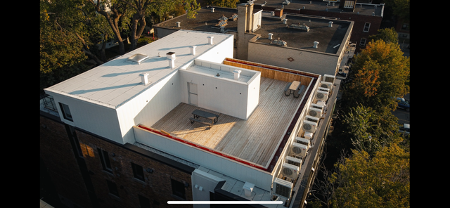 4 ½ entièrement rénové à louer boulevard Édouard-Montpetit - Photo 23