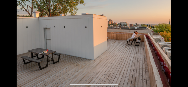 4 ½ entièrement rénové à louer boulevard Édouard-Montpetit - Photo 25