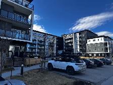 1 Bedroom Apartment for Sublet