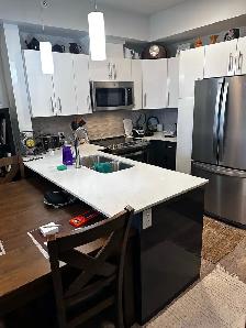 1 Bedroom Apartment for Sublet - Photo 3