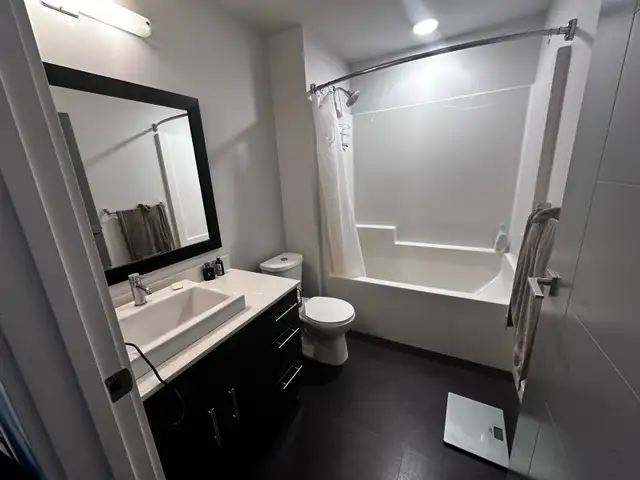 1 Bedroom Apartment for Sublet - Photo 6