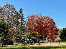 Outdoor Maintenance Attendant