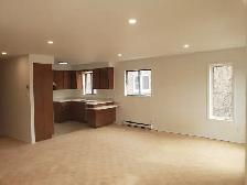 Tres Grand 4½ Apartment for Rent – Rosemont La Petite-Patrie - Photo 6