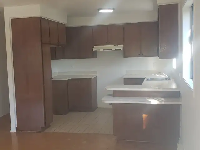 Tres Grand 4½ Apartment for Rent – Rosemont La Petite-Patrie - Photo 7