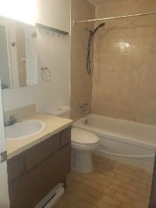 Tres Grand 4½ Apartment for Rent – Rosemont La Petite-Patrie - Photo 14