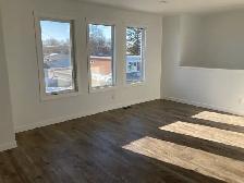 Homes for Rent in Plum Coulee - Photo 3