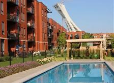 1 bedroom condo for rent in Hochelaga-Maisonneuve - Photo 3