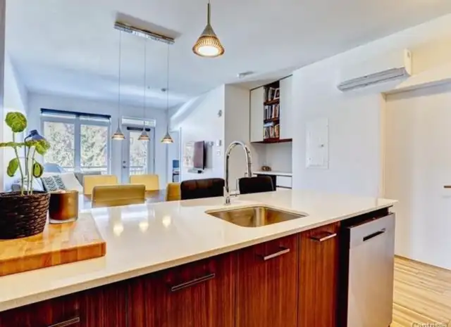 1 bedroom condo for rent in Hochelaga-Maisonneuve - Photo 4