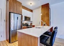 1 bedroom condo for rent in Hochelaga-Maisonneuve - Photo 6