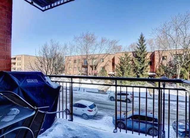1 bedroom condo for rent in Hochelaga-Maisonneuve - Photo 12
